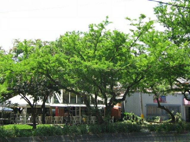 Payandé, Chiminango - Vista 4